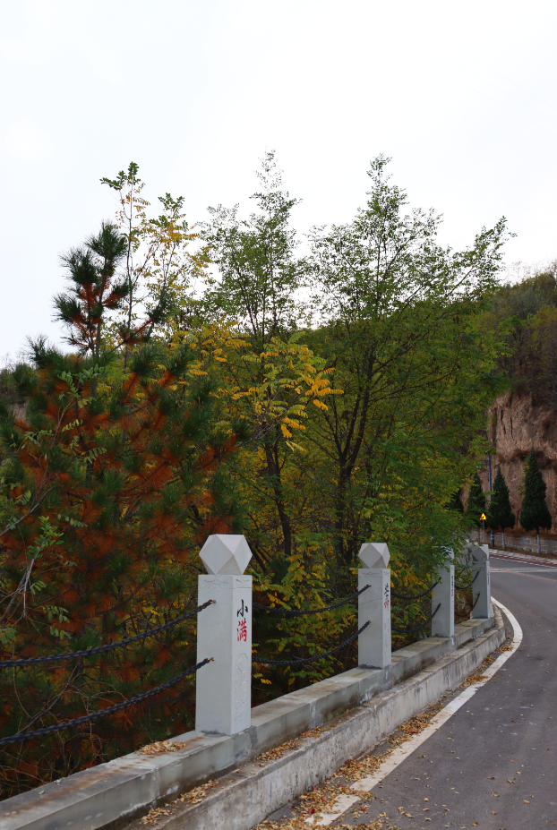   沿着山间步道缓缓前行，道路一侧整齐矗立着刻有二十四节气的石质立柱。立柱之间铁链相连，伴着蜿蜒山路伸向远方。山林间，青松苍劲，阔叶树缀满金黄叶片，脚下落叶簌簌。一路行来，仿佛跟着二十四节气流转，走过春生、夏长，步入秋日的静美，在山林间感受四季轮回的诗意。